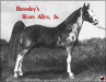 Brantley's Roan Allen, Jr.